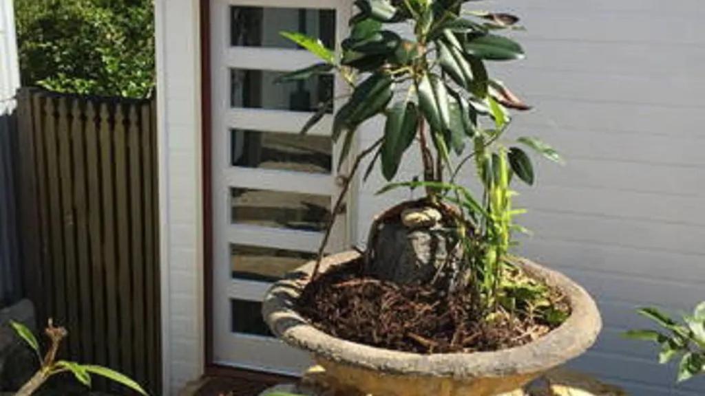 Potters Cottage بيلينغين المظهر الخارجي الصورة