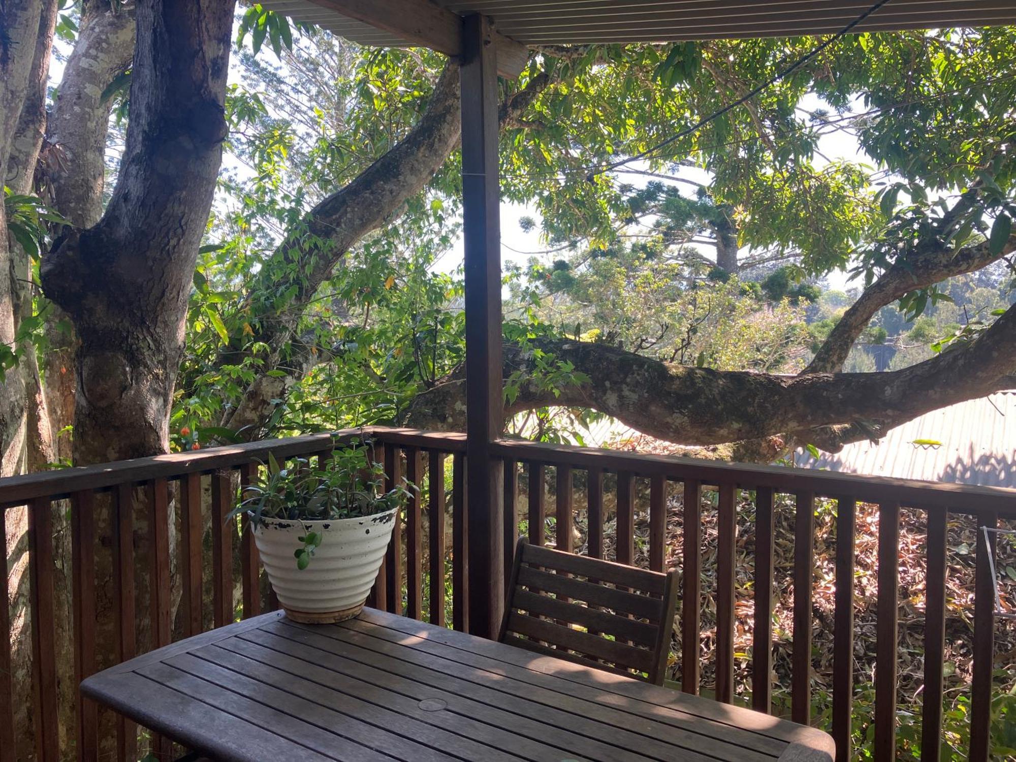 Potters Cottage بيلينغين المظهر الخارجي الصورة